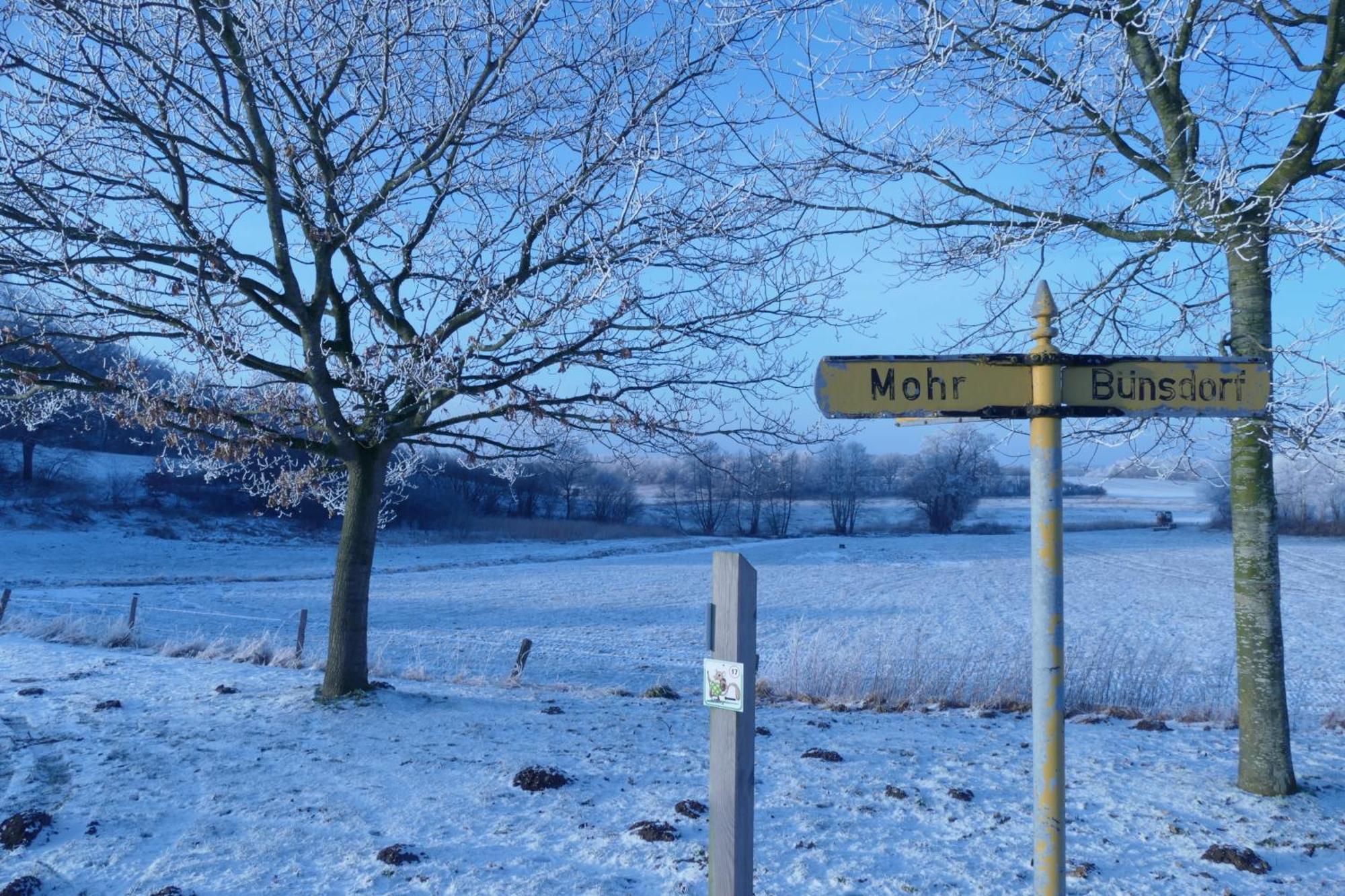 Frietied Am Wittensee Bunsdorf エクステリア 写真